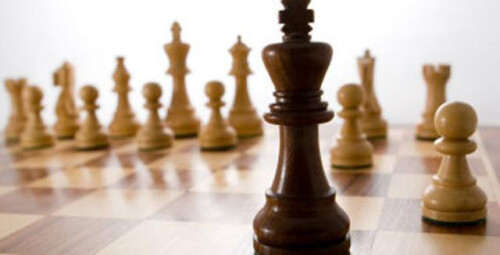 Игра в шахматы и занятие с ведущим Эстонским шахматистом  #3