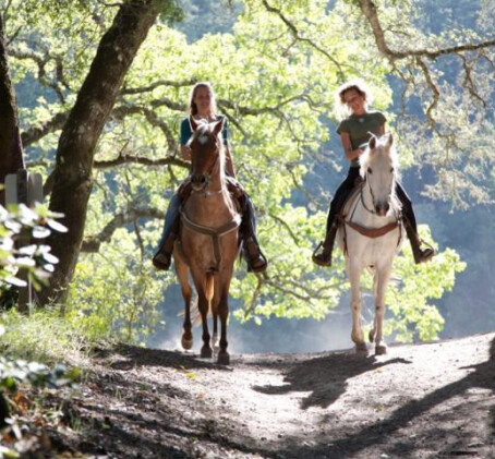 Романтическая прогулка на лошадях в Тартумаа