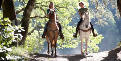 Романтическая прогулка на лошадях в Тартумаа #1