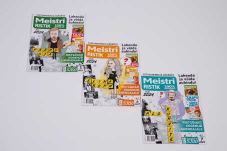 MEISTRIRISTIK tellimus (12 kuud)