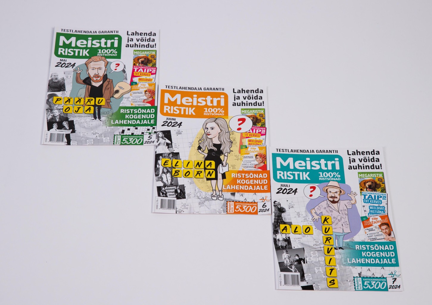 MEISTRIRISTIK tellimus (12 kuud)