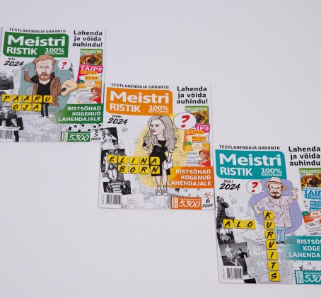 Подписка на MEISTRIRISTIK (12 мес.)