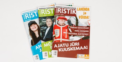 Подписка на MINIRISTIK (12 мес.) #4