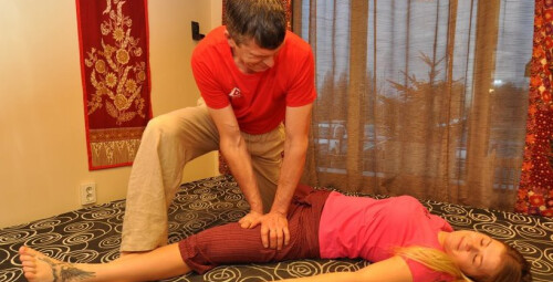 Shiatsu Massaažikojas  #2