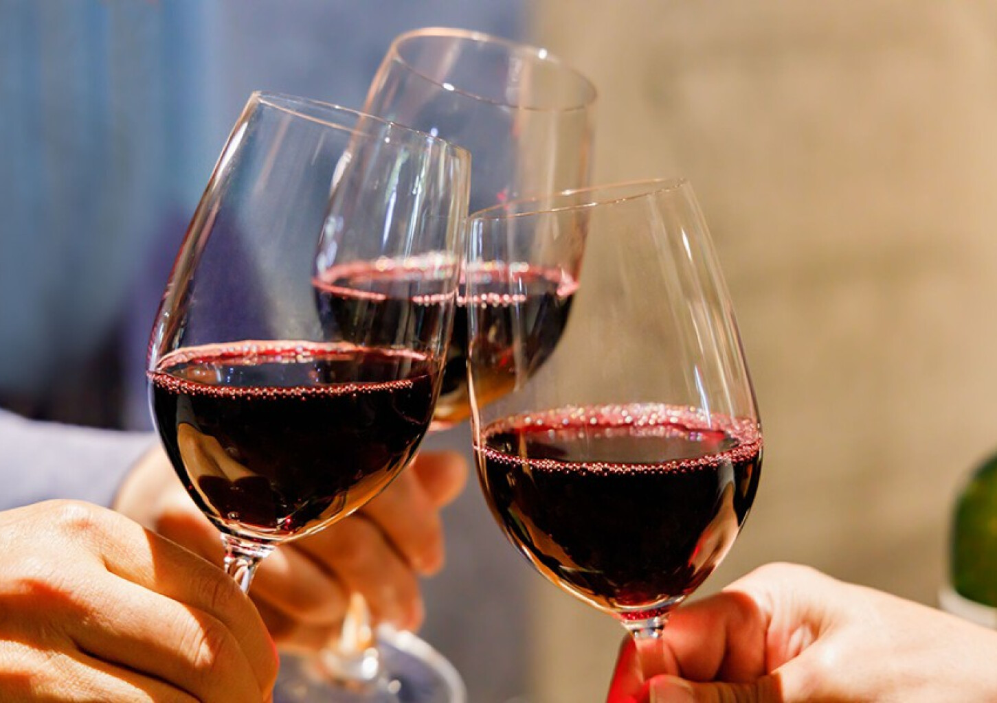 Винный курс на заказ для десяти участников