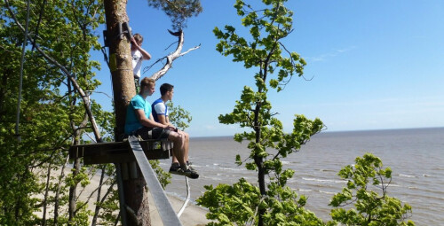 Põnev seiklusrada täiskasvanule Valgeranna seikluspargis #2