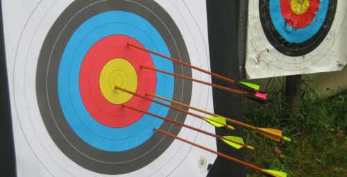 Семейное приключение со стрельбой из лука #1