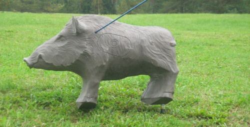 Семейное приключение со стрельбой из лука #2