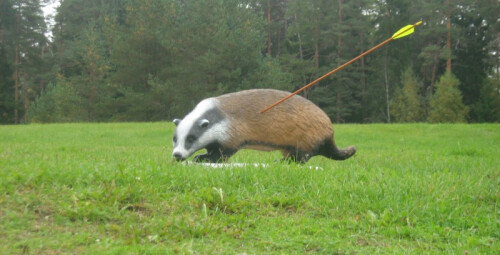 Семейное приключение со стрельбой из лука #3