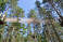 Seiklusrada ja vinged õhulennud üle järve Alutaguse Seikluspargis 