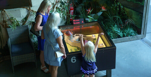 Elamusgolfiturniir neljale #5