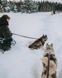 Matk Siberi Huskydega - Paasiku koertemõis #9