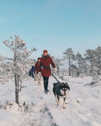 Matk Siberi Huskydega - Paasiku koertemõis #3