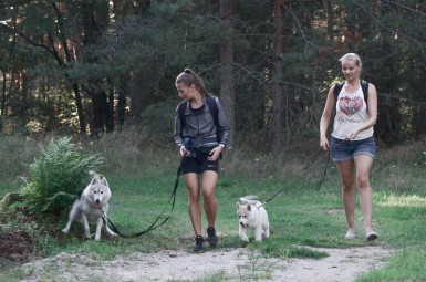 Matk Siberi Huskydega - Paasiku koertemõis #5