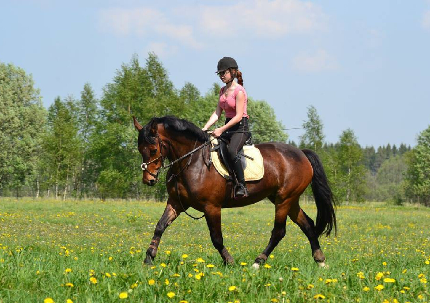 Индивидуальный урок верховой езды на площадке под руководством тренера