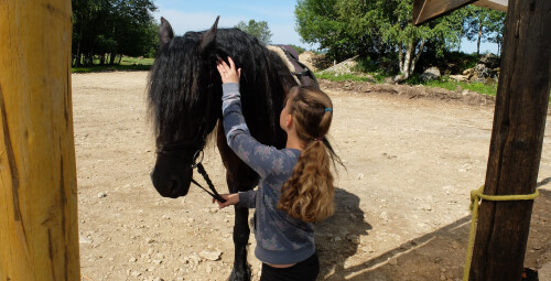 Индивидуальный урок верховой езды на площадке под руководством тренера Hingu küla, Kernu #5