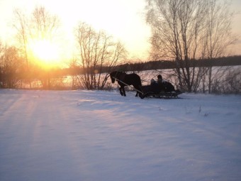 Зимняя поездка в санях на лошади настоящей фризской породы Hingu küla, Kernu #3