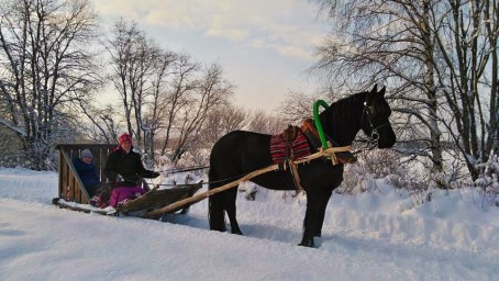 Talvine saanisõit hobusega
