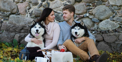 Фотосессия с сибирскими хаски  Paasiku küla, Anija vald, Harjumaa #7