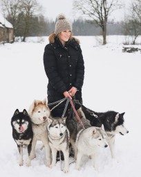 Fotosessioon Siberi Huskydega Paasiku Koertemõisas Paasiku küla, Anija vald, Harjumaa #8