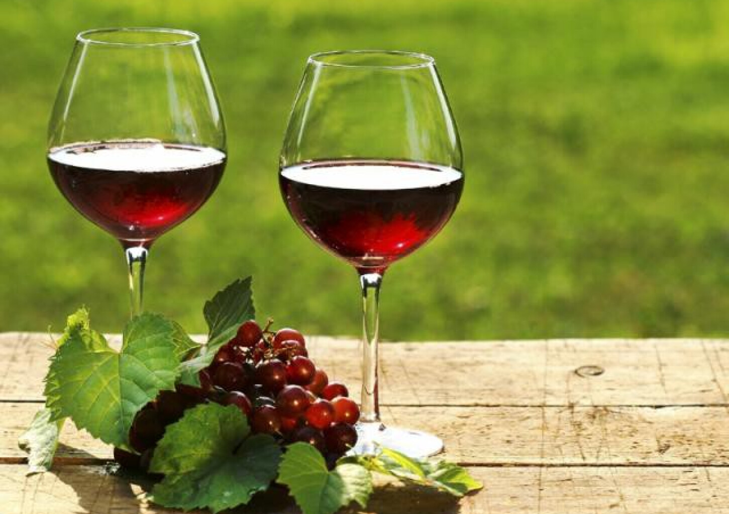 Veinikursus "Põnev veinide maailm/Hariv veinikursus"