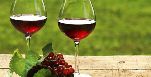 Курс вина «Увлекательный мир вин» #1