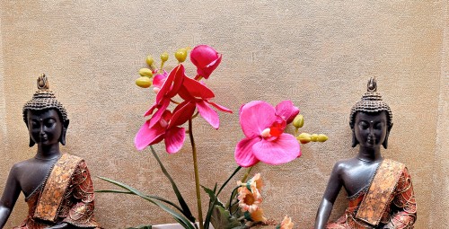 Нежный Lotus #2