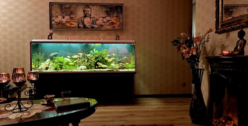 Нежный Lotus #8