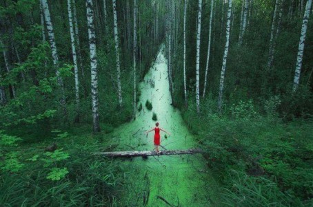 Массаж лица с природными продуктами лесов Эстонии