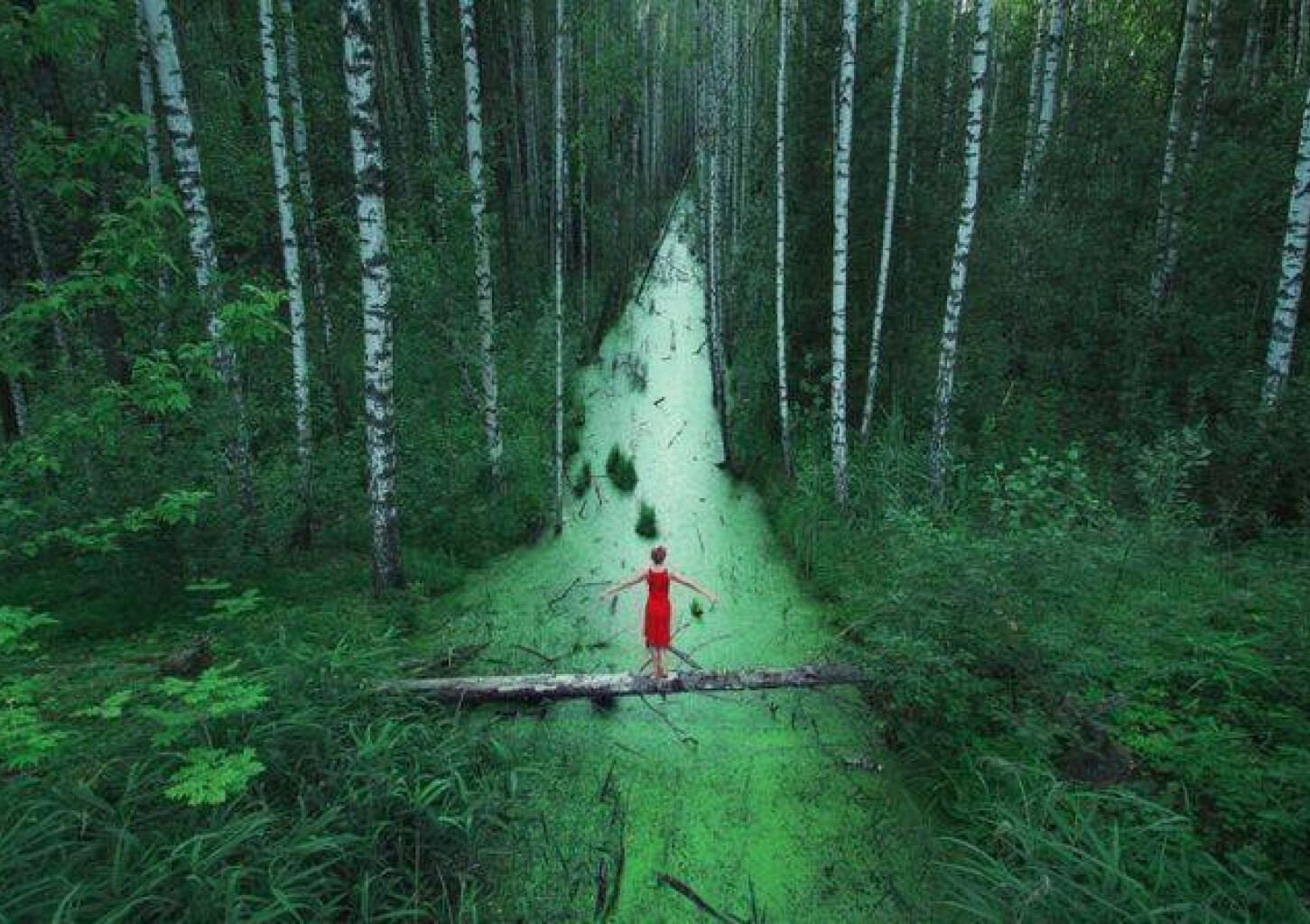 Массаж лица с природными продуктами лесов Эстонии