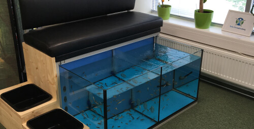 Расслабляющая рыбная терапия #2