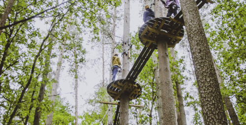 Приключенческая тропа по верхушкам деревьев для любителей острых ощущений  Латвия, Валмиера #5