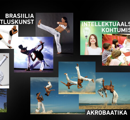 Capoeira - Brasiilia võitluskunst