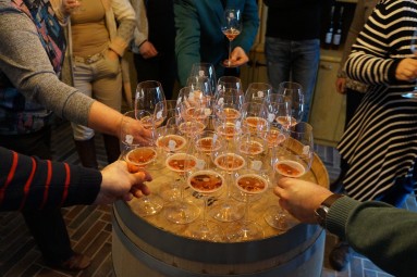 Дегустация эстонских вин для компании в винном погребе Murimäe Veinikelder #2