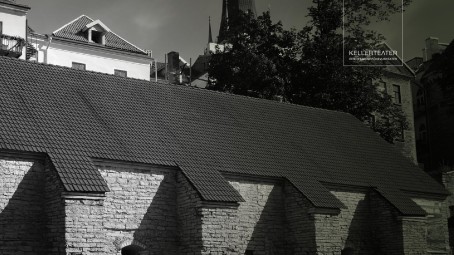 Elamus põnevusteatris #2