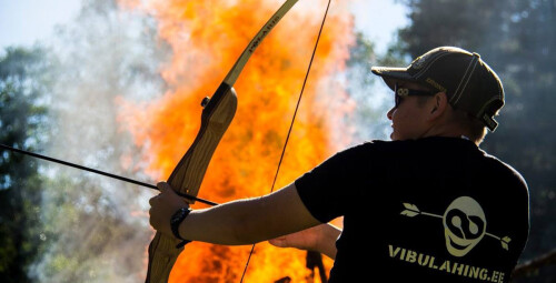 Битва на луках для компании из 20 человек #2