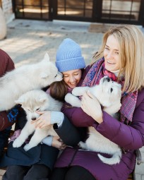 Siberi Huskyde ja Alpakade külastus kahele Paasiku küla, Anija vald, Harjumaa #2