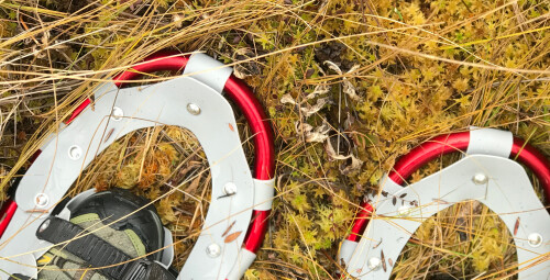 Поход на болотоступах по болоту Меэникунно для компании #1