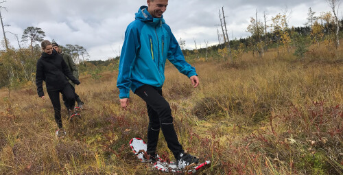 Поход на болотоступах по болоту Меэникунно для компании #3