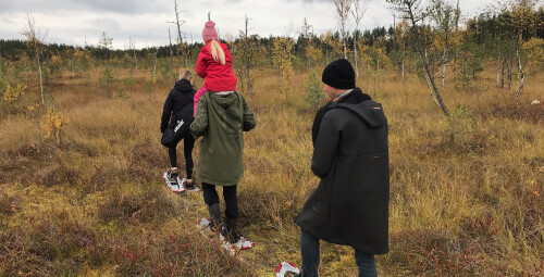 Поход на болотоступах по болоту вблизи туристской тропы Селли-Силлаотса для компании #1