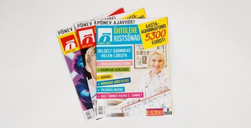 Õhtulehe Ristsõnade tellimus 12 kuud #2