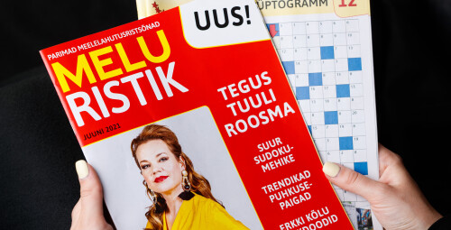 Meelelahutusristsõnad Meluristik tellimus 12 kuud #3