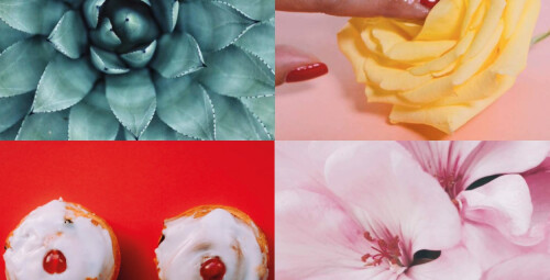 Yoni-, Lingam-, rinna- ja kogu keha massaažikooli eluaegne ligipääs #3