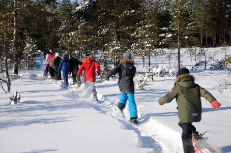 Поход на снегоступах или болотоступах по болоту Ярви-Суурсоо для восьми участников