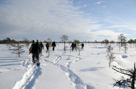 Поход на снегоступах или болотоступах по болоту Ярви-Суурсоо для четверых участников