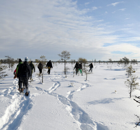 Поход на снегоступах или болотоступах по болоту Ярви-Суурсоо для четверых участников