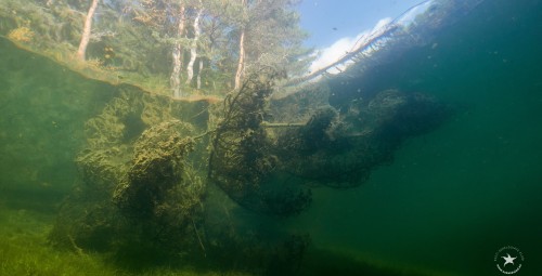 Padi Underwater Photography, или подводная фотография