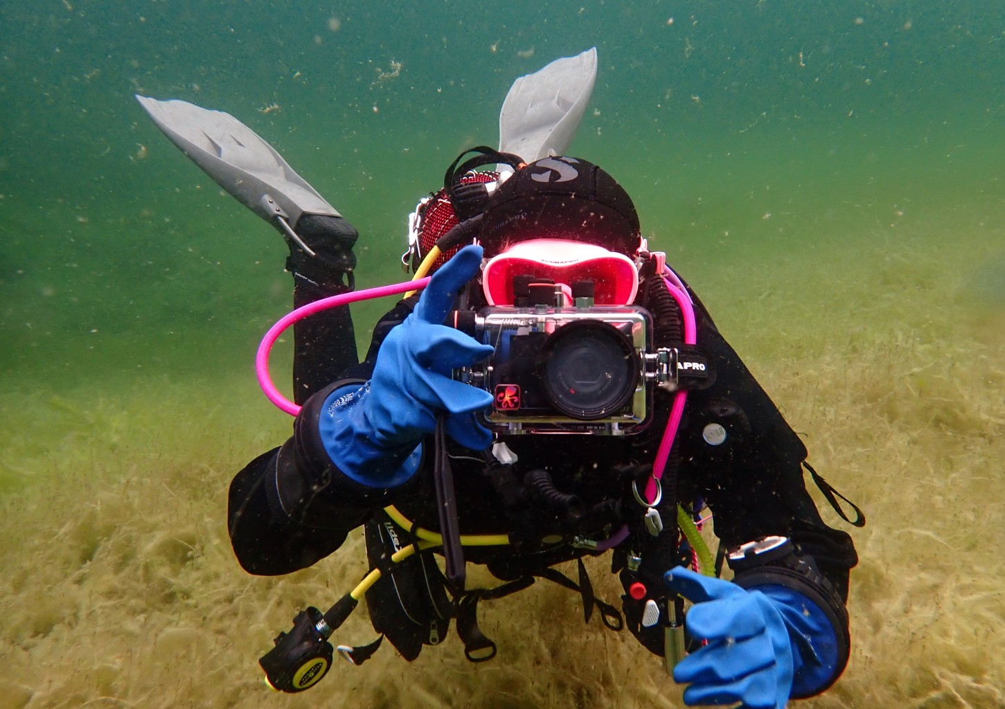 Padi Underwater Photography ehk veealune fotograafia