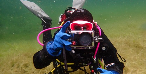 Padi Underwater Photography, или подводная фотография