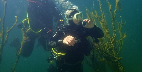 Пробное погружение с берега #1